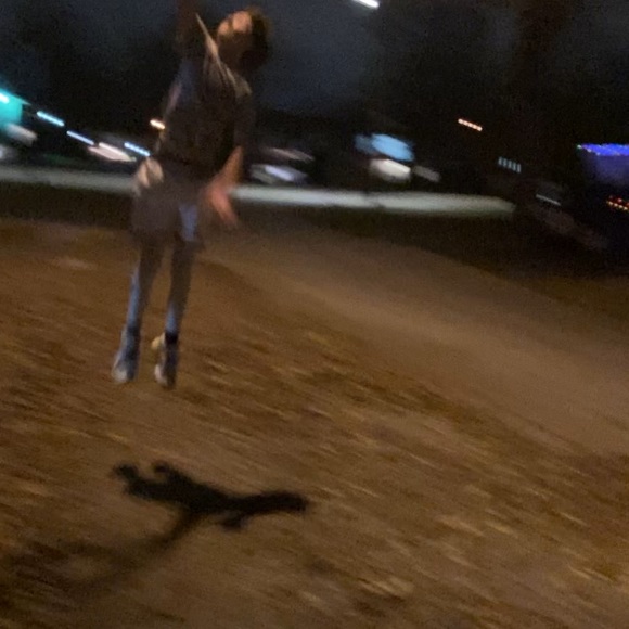 Meet your Posher, Brayden - Picture 1 of 1